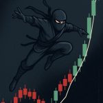 ninja2